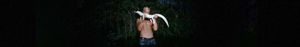Diplo