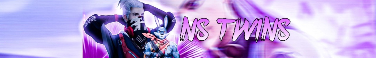 NS TWINS