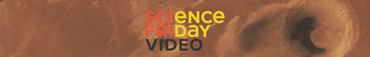 SciFri