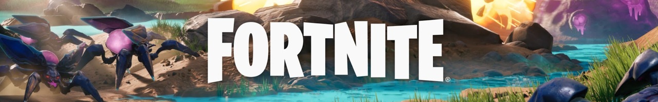 Fortnite FR