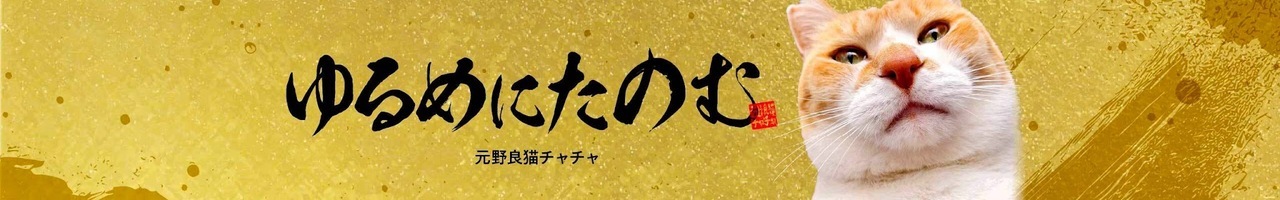元野良猫チャチャとR me
