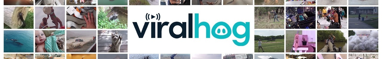 ViralHog