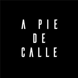 BCN A PIE DE CALLE