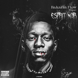 Bakarin Flow
