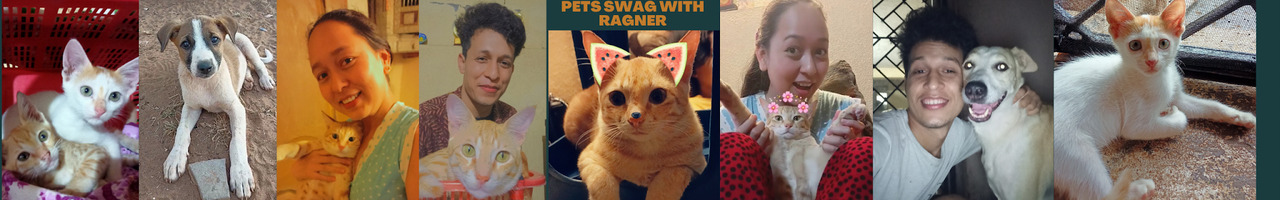 pets swag