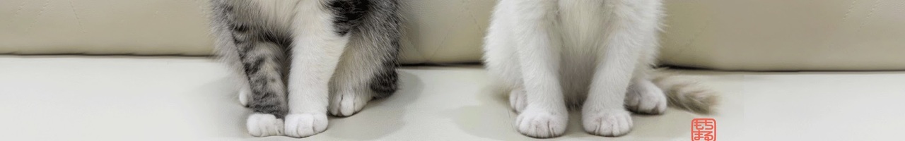 もちまる日記