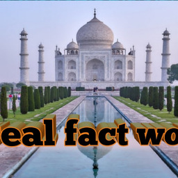 real Fact world