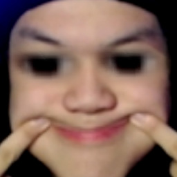 Ale Wang 2.0