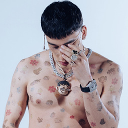 ElMalillaTv