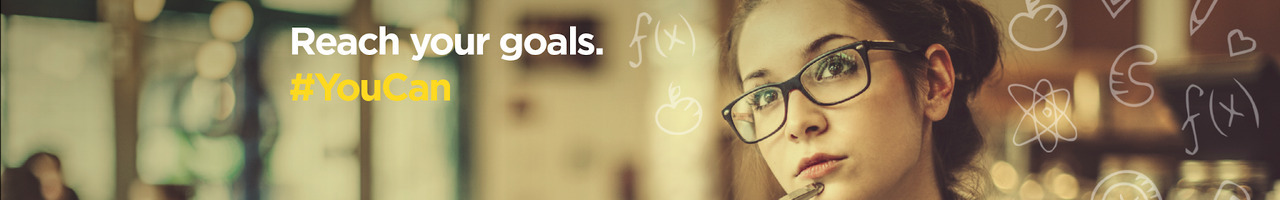 The Princeton Review