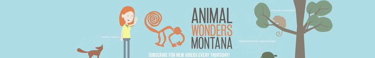 Animal Wonders Montana