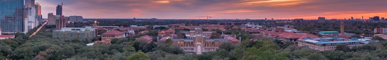 Rice University