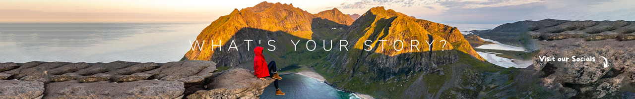 The Travel Intern