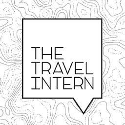 The Travel Intern