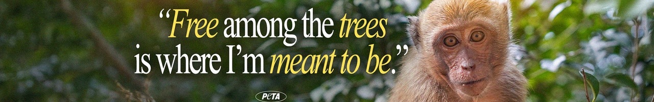PETA (People for the Ethical Treatment of Animals)