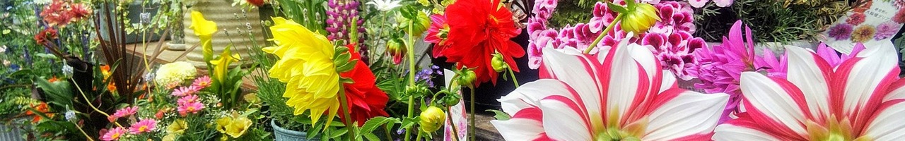 「カーメン君」ガーデンチャンネル