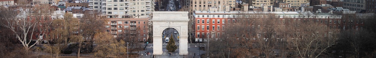 New York University