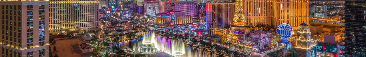 Vegas Matt