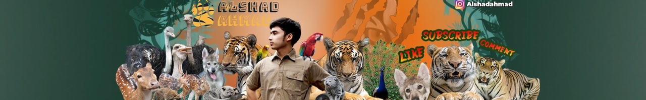 Alshad Ahmad