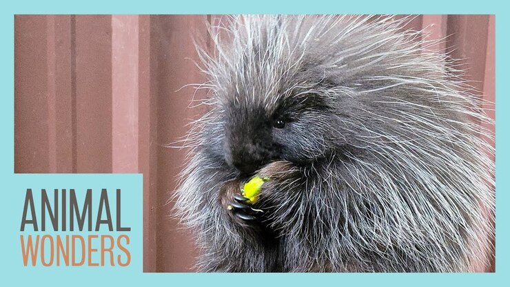 Jessi Knudsen featured image
