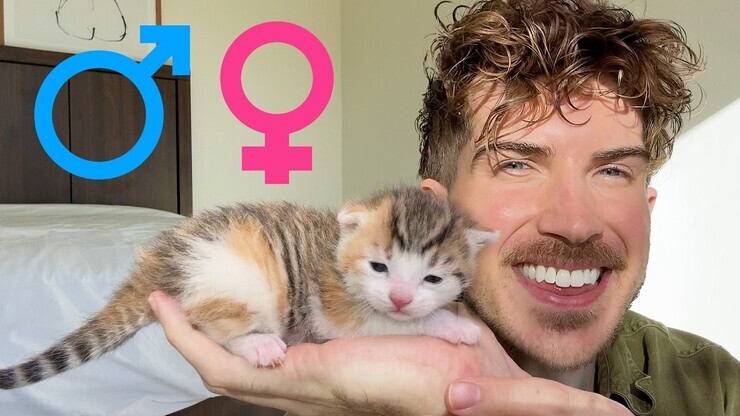 Joey Graceffa featured image