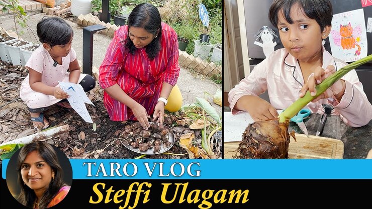 Steffi featured image