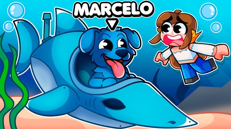 Marcelo featured image