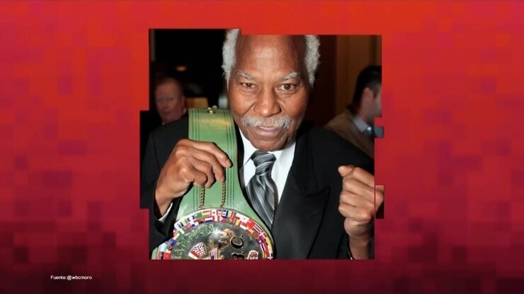 Laura Bozzo featured image