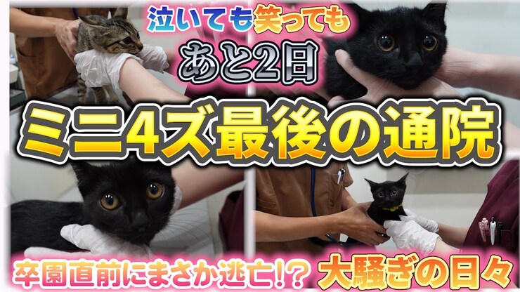 Shinobu Sakagami featured image