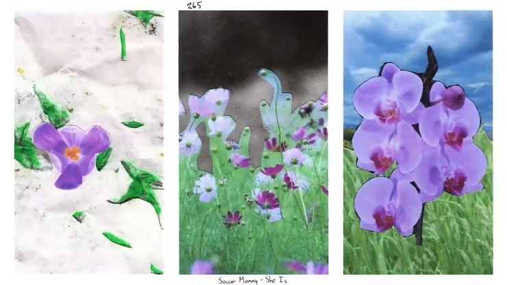 Sophie Allison featured image